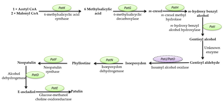 Figure 6