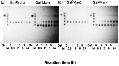 FIG. 5