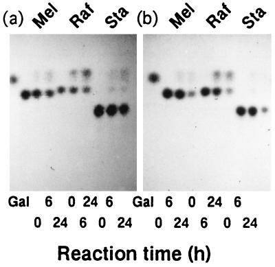 FIG. 6