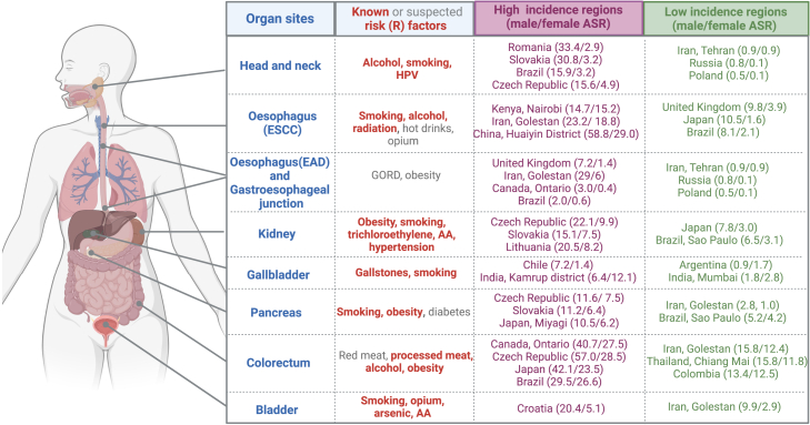 Figure 3