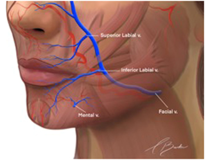 Fig 9: