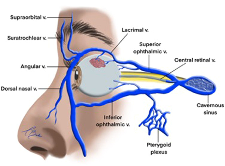 Fig 4: