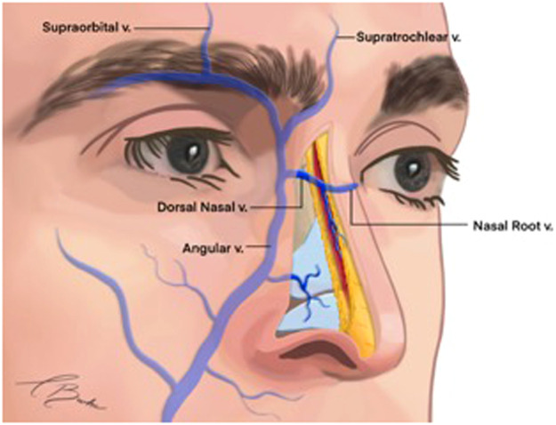 Fig 8: