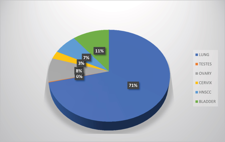 Figure 5