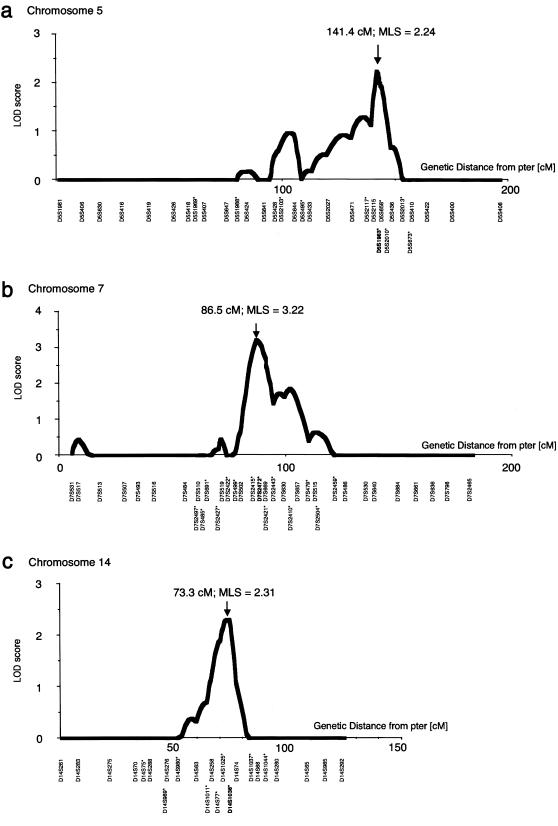 Figure  2