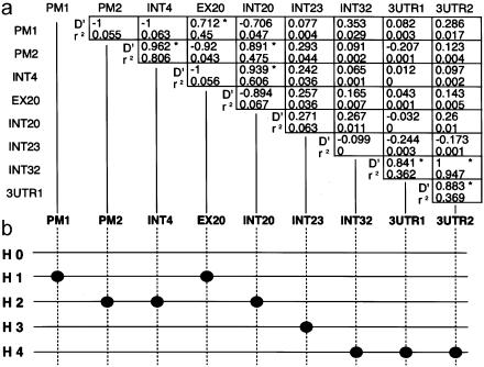 Figure  5