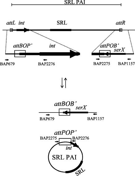 FIG. 1.