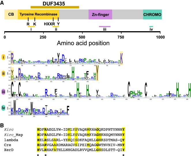 Figure 4.