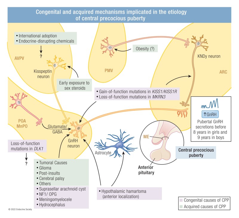 graphic file with name bnac020_fig6.jpg