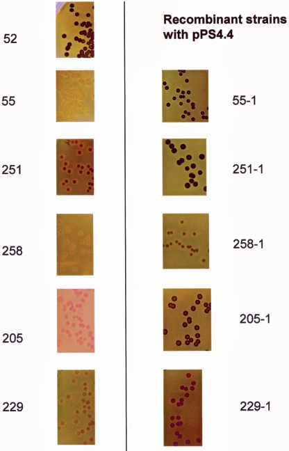 FIG. 3.