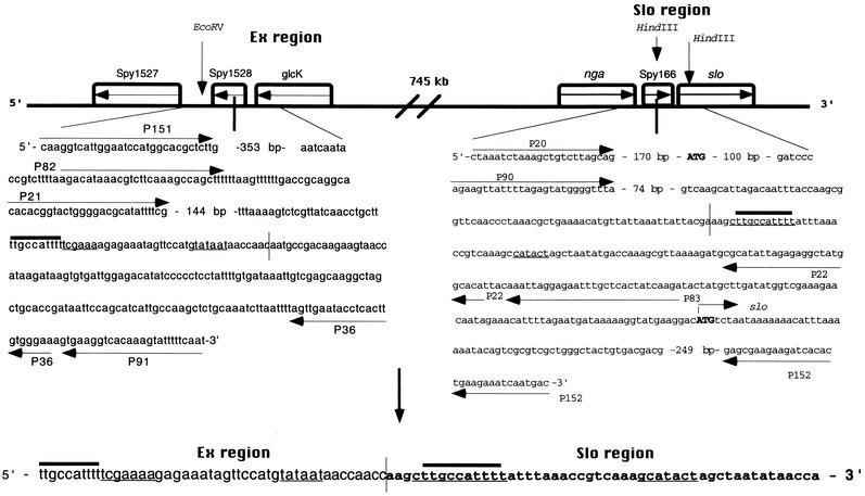 FIG. 3.