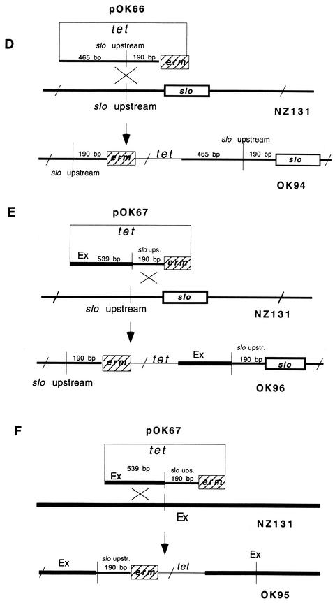 FIG. 2.