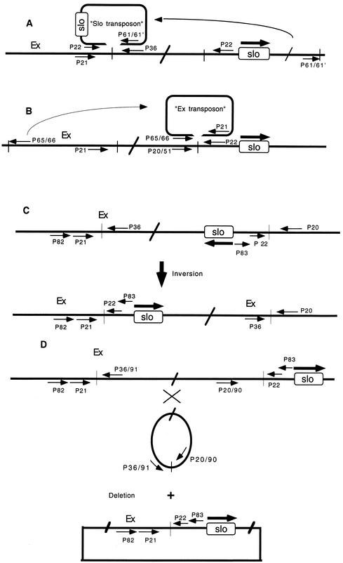 FIG. 5.