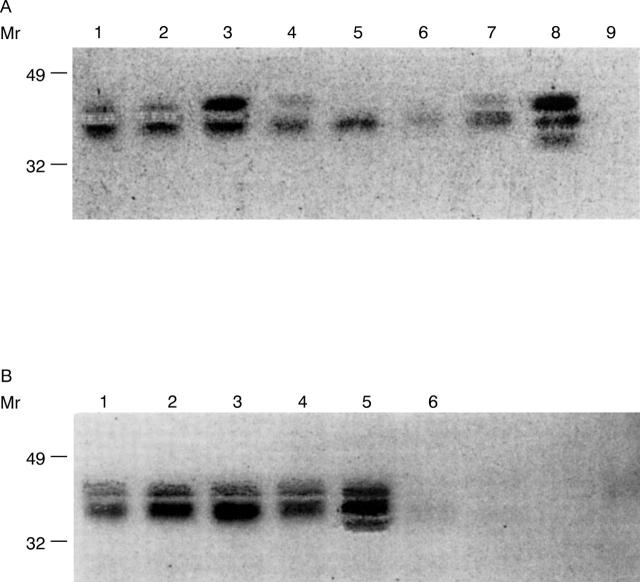 Figure 4  