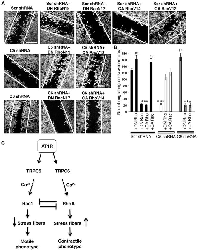 Fig. 8