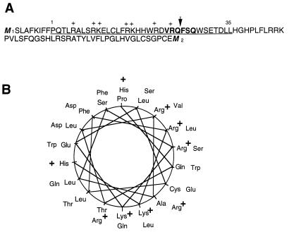 FIG. 1