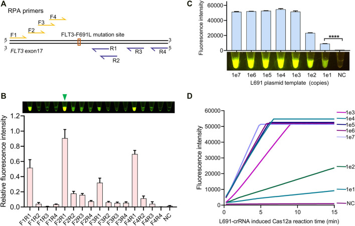 FIGURE 3