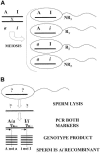Figure  1