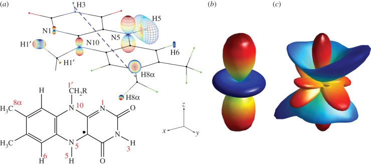 Figure 5.