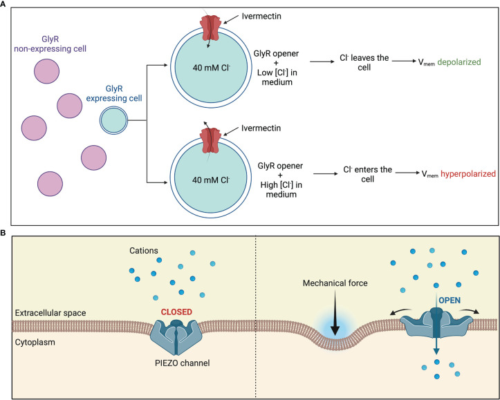 Figure 4