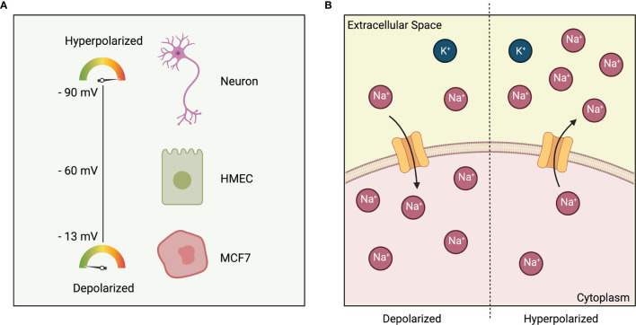 Figure 1