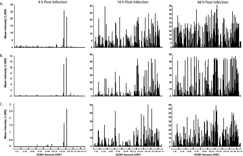 FIG. 2.