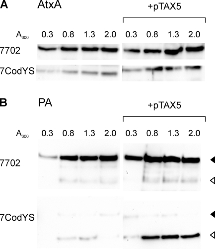 FIG. 6.