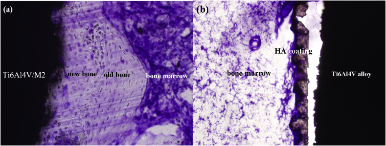 Fig. 6