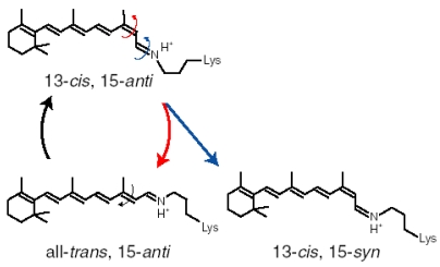 Figure 27.