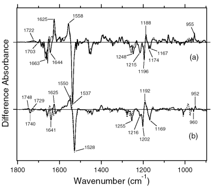 Figure 33.