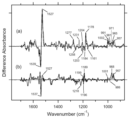 Figure 16.