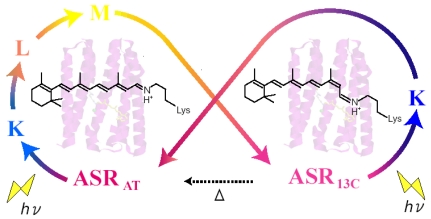 Figure 30.