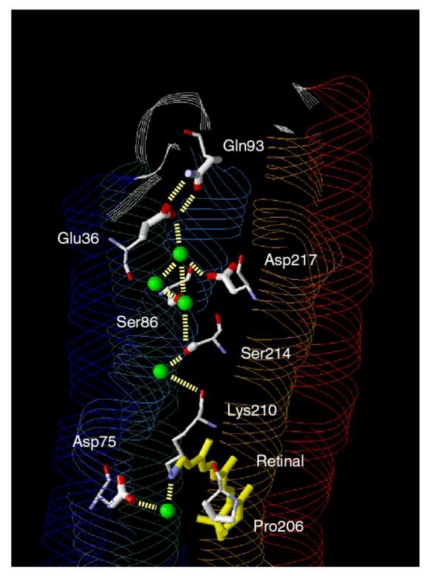 Figure 31.