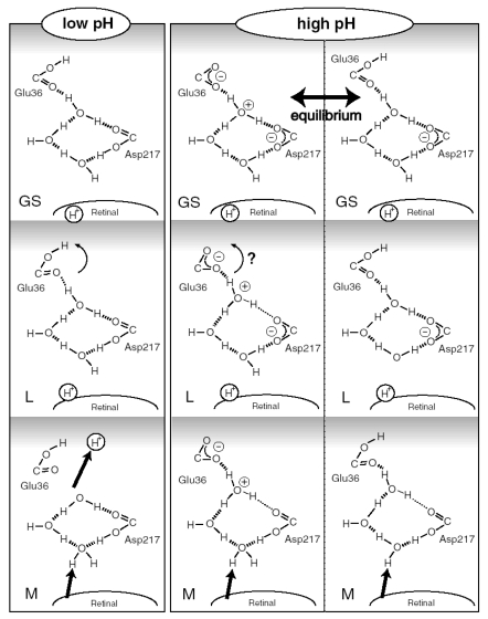 Figure 38.