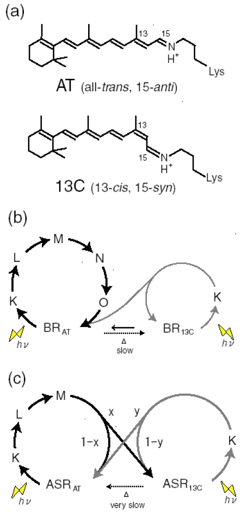 Figure 22.