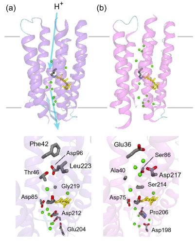 Figure 41.