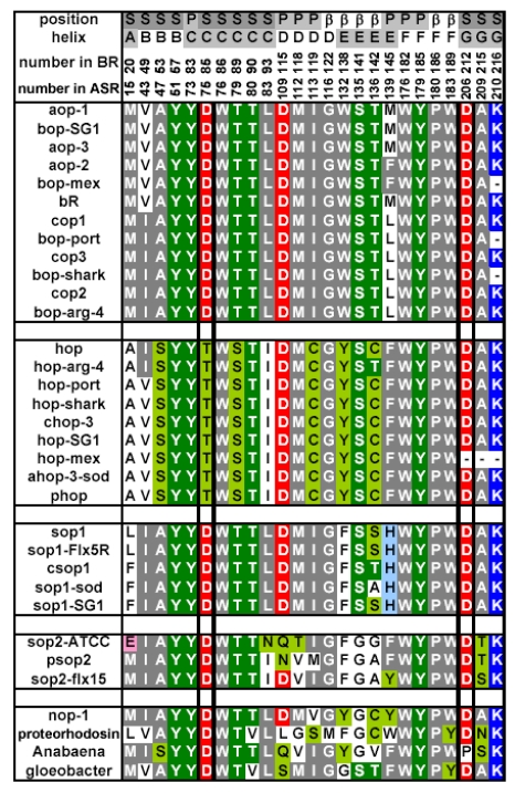 Figure 6.