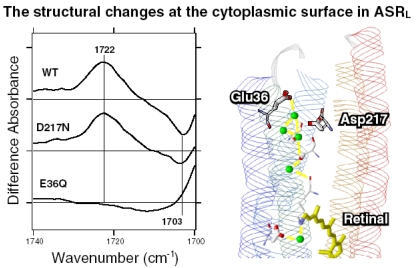 Figure 39.