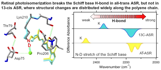 Figure 21.