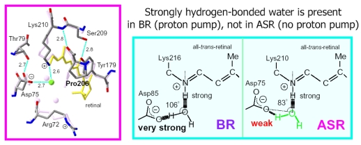 Figure 40.