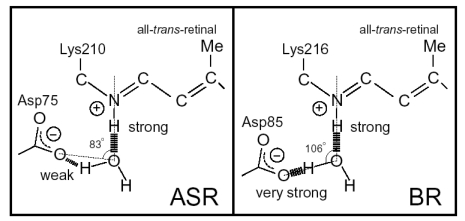 Figure 13.