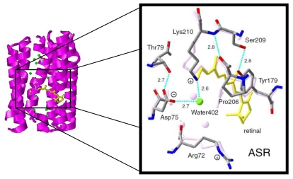 Figure 4.