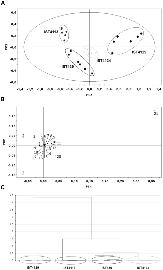 FIGURE 2