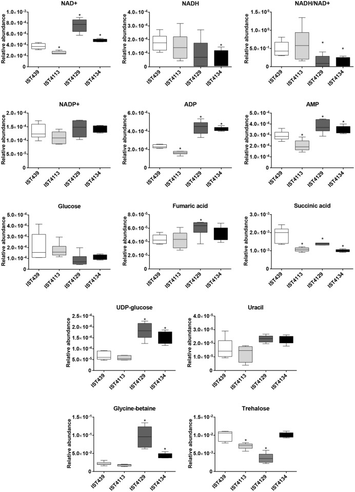 FIGURE 4