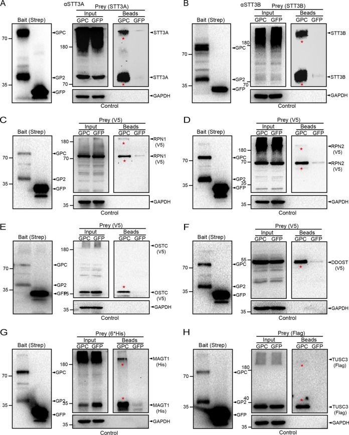 FIG 3