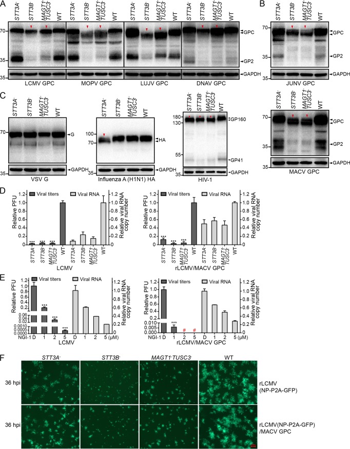 FIG 10