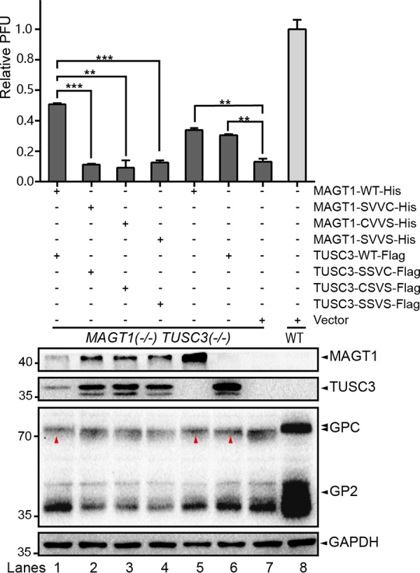 FIG 8