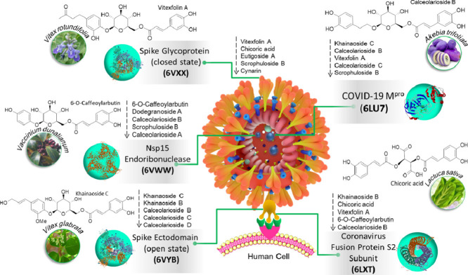 Image, graphical abstract