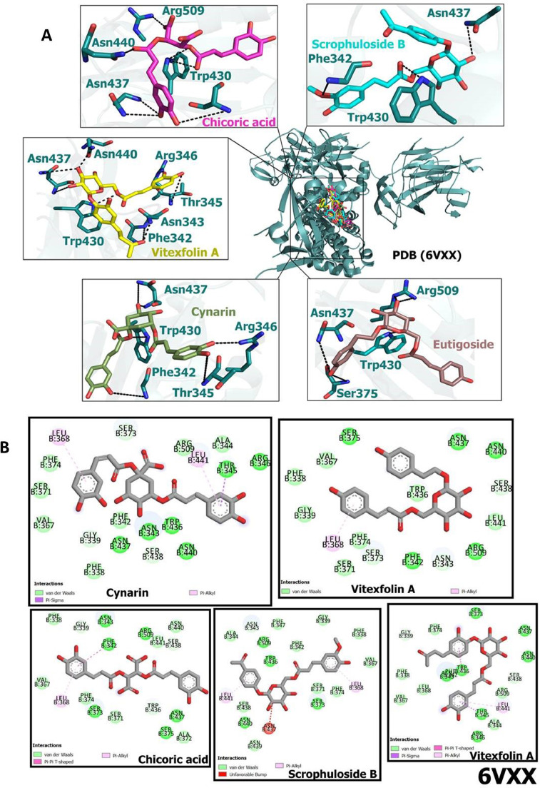 Fig 6