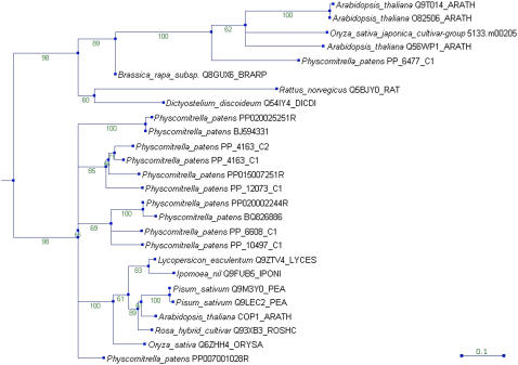 Figure 6.